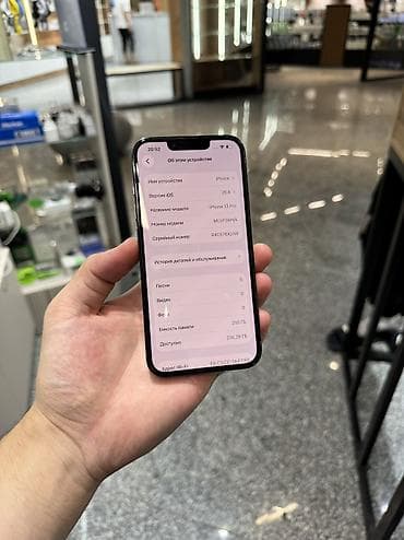 9 pro: IPhone 13 Pro, Б/у, 256 ГБ, Голубой, Защитное стекло, Чехол, 100 % — 5