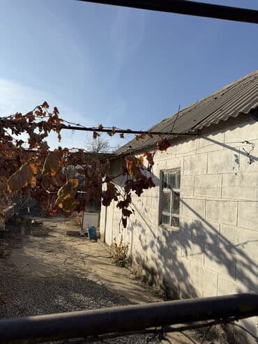 купить домик для кукол: 5 соток, Красная книга, Тех паспорт, Договор купли-продажи — 3