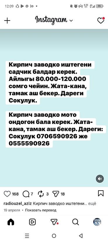 кий бильярда: Птица-символ с иллюстрацией «голубь и монеты» — графический макет для — 6