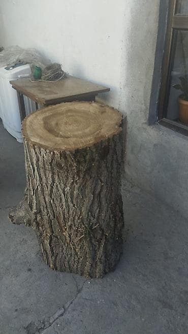 лес: Большие чурбаки/отрезки древесины для столешниц, мебели и декора. - — 4