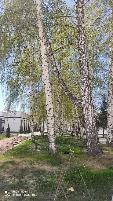 чон сары ой коттеджи: Коттедж, Сары-Ой, 6 мест — 8
