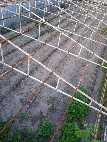 копельный полив: ( теплица ). Продаю готовую теплицу. Продаётся только каркас теплицы — 10