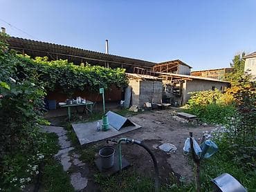 толк ферма: Дом с двором и хозяйственными постройками. 7.5 соток От трассы в 5 — 4