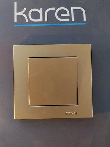 argus security systems: Одноклавишный настенный выключатель света Arvia, серия Karen. - Тип — 1