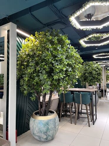 шкаф для одежды новый: 🌿 Мы — Mayram Decor KG, ваш надежный партнёр в создании эффектных и — 18