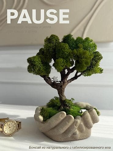 шапке: Интерьерные композиции с деревом бонсай из натурального живого — 3