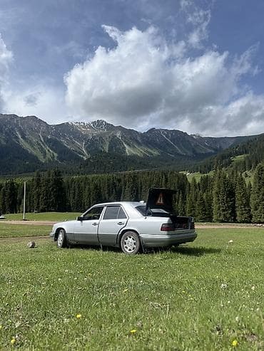 Mercedes-Benz W124: 1994 г., 2.2 л, Механика, Бензин, Седан — 2