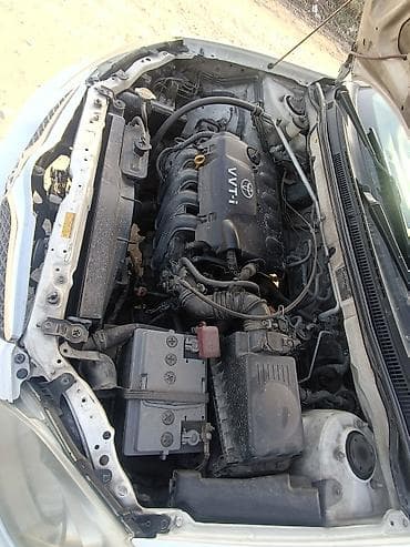 чернение шин: Toyota Allex: 2003 г., 1.5 л, Автомат, Бензин, Хэтчбэк — 5