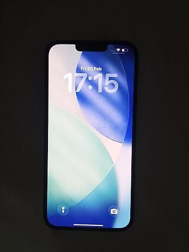 epson l222: IPhone 13 Pro Max, Б/у, 128 ГБ — 1