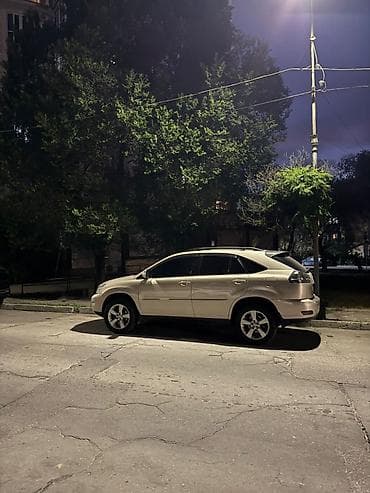 rx 3: Lexus RX: 2004 г., 3.3 л, Автомат, Бензин, Кроссовер — 4