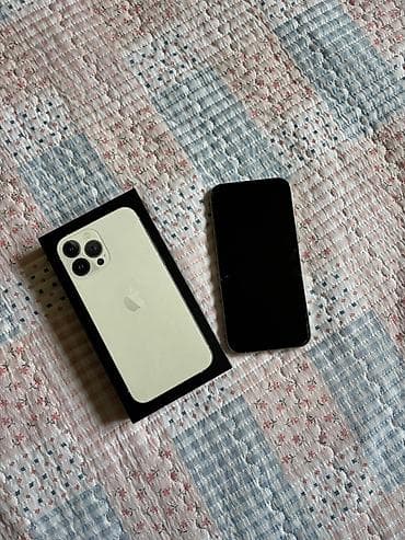 jack a2: IPhone 13 Pro, Серебристый, Коробка — 1