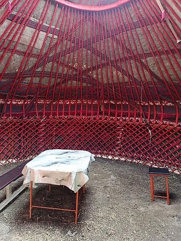 Спорт и хобби: 100 баш Боз үй сатылат.Абалы жакшы,кийизи эскирээк.Суйлошуу жолу — 2