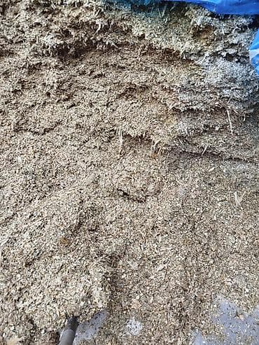 сельскохозяйственные животные продажа: Силос/сенаж кукурузный, измельчённый продам силос - Корм для КРС — 2