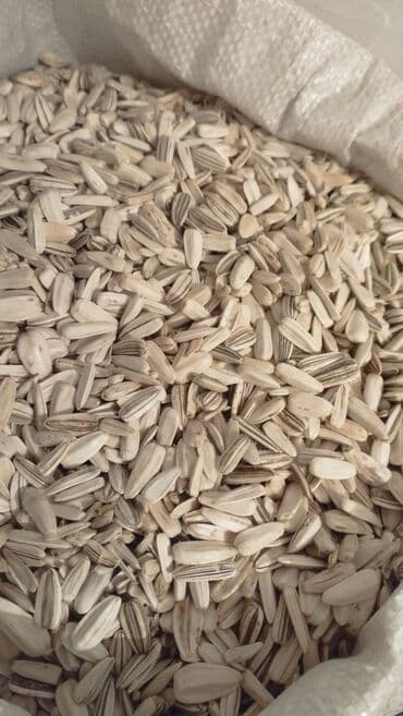 тыквенные семечки цена бишкек: Семечки АК 120 сом звоните — 3