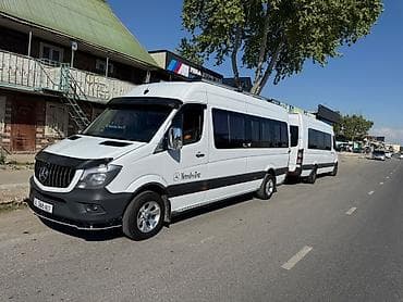 210 белый: Пункт назначения: Все направления, Количество мест: 19, Лицензия №: 2017ГОД — 2