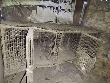 продам домик для кошки: Клетки для животных из металлической сетки, подходящие для содержания — 2