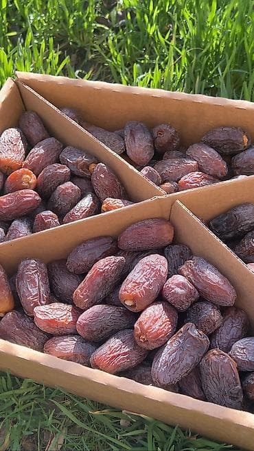 ажва хурма: ФИНИКИ МАЖДУЛЬ 👑 🌙 Королевские финики для благословенного Рамадана! 📦 — 1