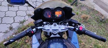 мустанг лошадь цена: Классический мотоцикл Suzuki, 650 куб. см, Бензин, Взрослый, Б/у — 6