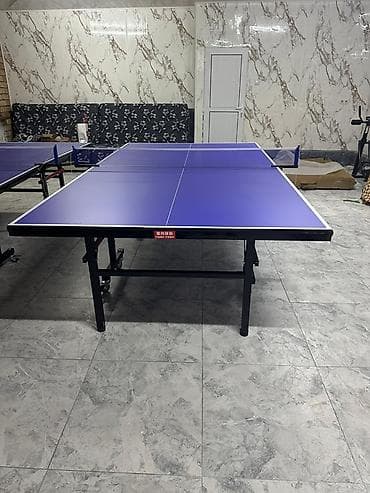 волейболный мячи: Профессиональный теннисный стол для игры в настольный теннис - — 2