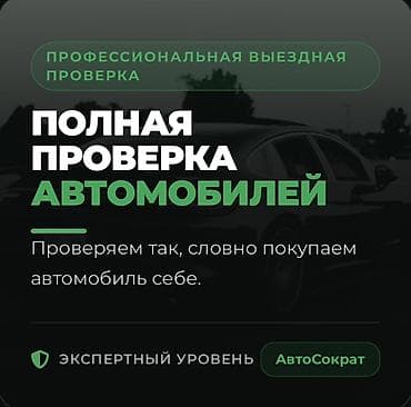 Услуги: Выездная полная проверка автомобилей Профессиональная комплексная — 1