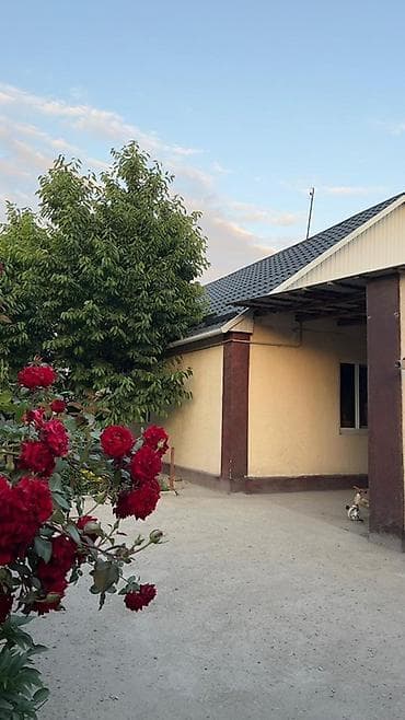 Бишкек шаарынын Ала Тоо конушунан беш болмолуу времянкасы менен уй