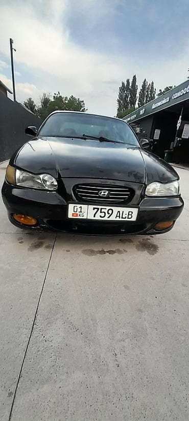кузов на 2107: Hyundai Sonata: 1998 г., 2 л, Автомат, Бензин, Седан — 4
