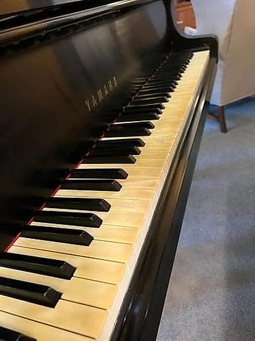 KORG NORD ROLAND YAMAHA если это у вас и у вас пожелтели — 1