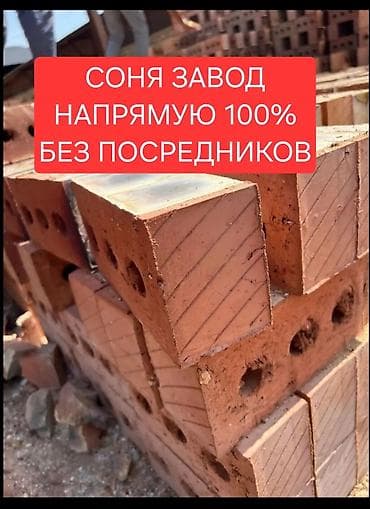 стро: Пустотелый, дырчатый, Жженый кирпич, Одинарный, 250×120×65 — 2