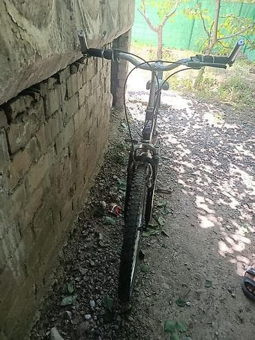 electra mobile: Горный велосипед, Сталь — 3