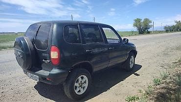 Продажа авто: Chevrolet Niva: 2003 г., 1.7 л, Механика, Бензин, Внедорожник — 3