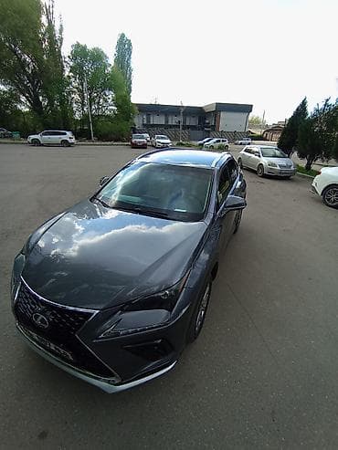 lexus alteza: Lexus NX: 2016 г., 2 л, Автомат, Бензин, Кроссовер — 1