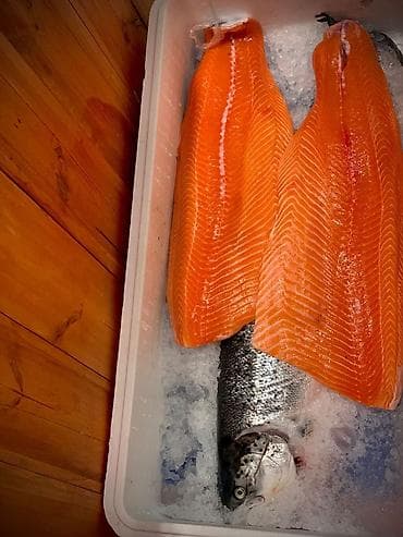 Продукты питания: Свежая форель в Бишкеке Стейки • Филе • Целая рыба Всегда свежая и — 5