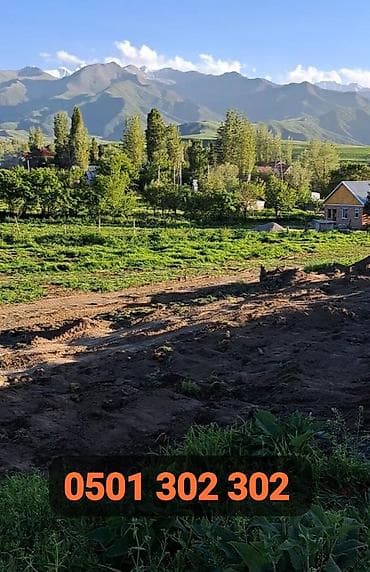 доставка чернозема: Чернозём с доставкой самосвалом - Натуральный плодородный чернозём — 4