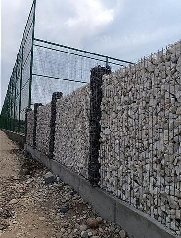 дибан: Габион тосмолор, Кепилдиги — 5