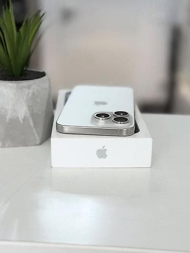 iphone 12 pro max: IPhone 15 Pro Max, White Titanium, Коробка — 3