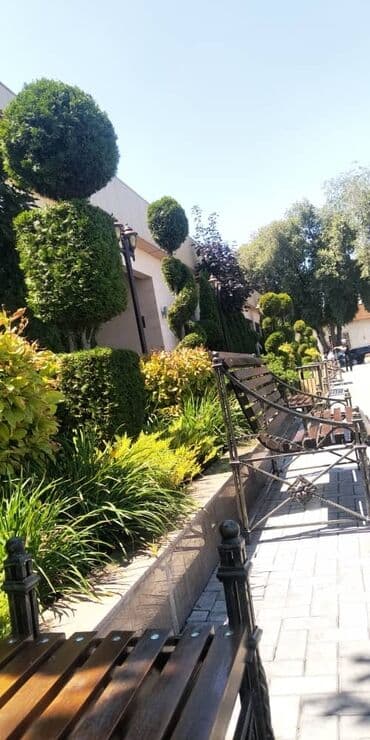 услуги медсестры капельницы уколы на дому: Уборка территории, Уход за деревьями — 7