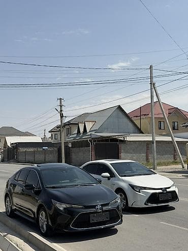 initial d: Toyota Levin: 2020 г., 1.8 л, Гибрид, Седан — 5