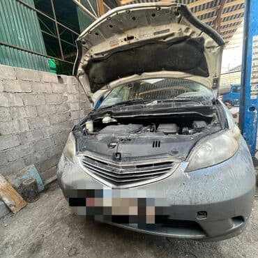 elysion: Без выезда — 1