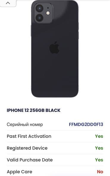 ipad 7: IPhone 12, Б/у, 256 ГБ, Черный, Чехол, 76 % — 10