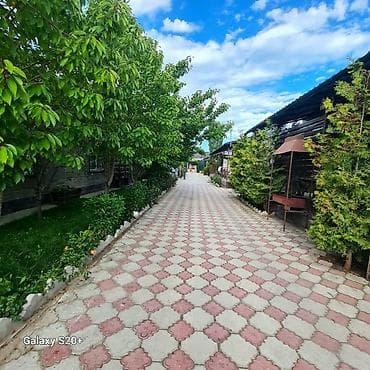 маслосыр база бишкек фото: Дом с благоустроенным двором и летней кухней-барбекю - Зеленый — 9