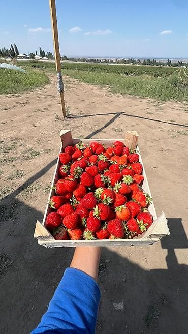 овощи и фрукты оптом: 150с -1 л 🍓 Натуральный клубничный джем и замороженная клубника от — 3