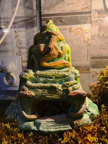 акустические системы atlanfa колонка в виде собак: 🌿 Украшения и декорации для аквариумов и террариумов 🌿 Продаю — 22