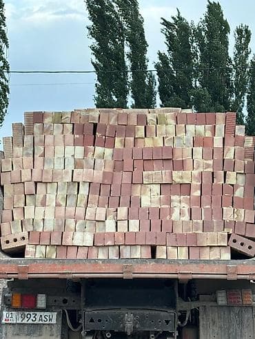 шапка с ушами: Пустотелый, дырчатый, Жженый кирпич, Полублок, 250×120×88 — 1