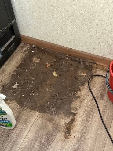 чистка ковров и мебели на дому: Уборка помещений, | Генеральная уборка, Мойка окон, Уборка после ремонта, | Дома, Кафе, магазины, Квартиры — 26