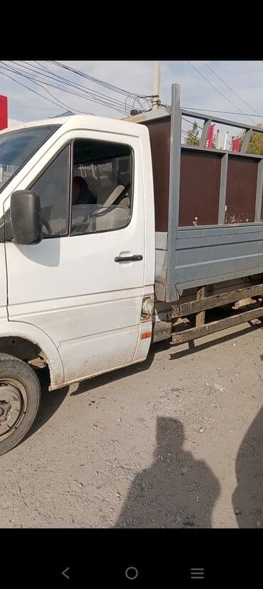 Собаки: Продаю | Коза (самка) — 7