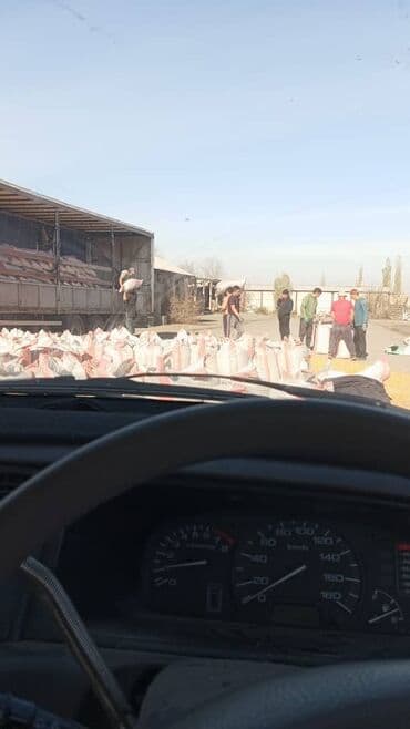 капсула порошок стиральный: Кукуруза Оптом, Самовывоз, Бесплатная доставка, Платная доставка — 2