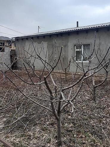 обувь для охоты: Обрезка плодовых деревьев. Опытные садовники. Делаем свою работу — 1