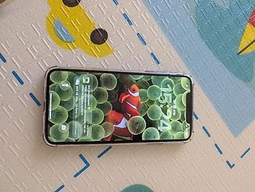 IPhone 11 Pro Max, 256 ГБ, Чехол — 3