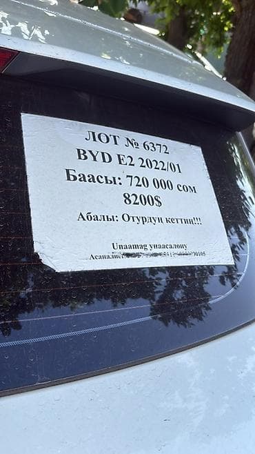 BYD E2: 2022 г., Электромобиль, Хэтчбэк