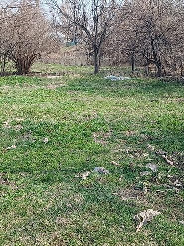 село сасновка: 41 соток, Для бизнеса, Красная книга, Договор купли-продажи — 6